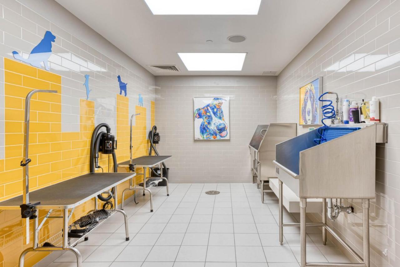 N Station 1br W Gym Wd Nr Td Garden Bos-640 Appartamento